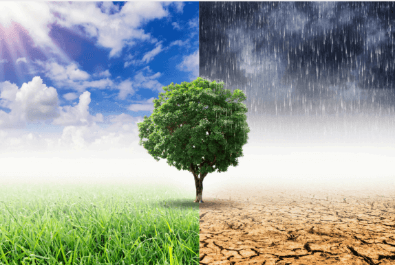 How does climate migration affect global security?